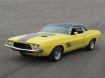 Dodge Challenger Rallye 1974 года